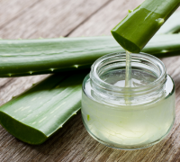 Aloe Vera Extract