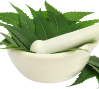 Neem Extract