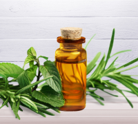 Tea Tree Oil