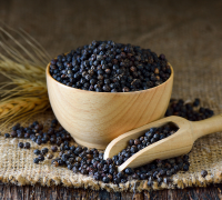 Black Pepper