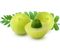 Amalaki (Indian Gooseberry)