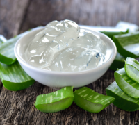 Ghrit Kumari (Aloe Vera) 