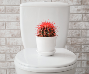 Relieves Constipation